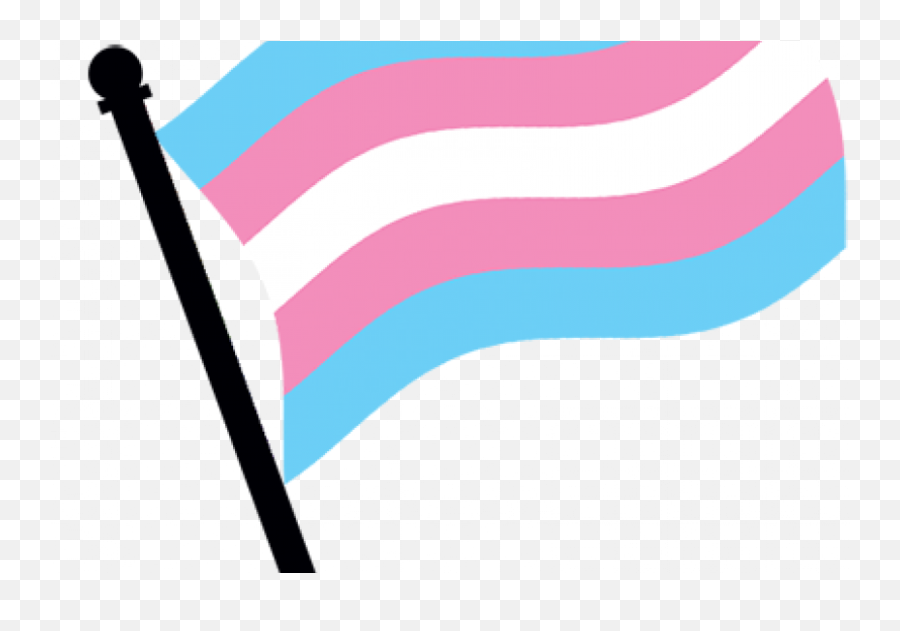 Comparative Perspectives - Non Binary Flag Transparent Png,Trans Flag Png