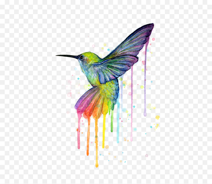 Hummingbird Png Transparent - Hummingbird Of Watercolor Rainbow,Hummingbird Png