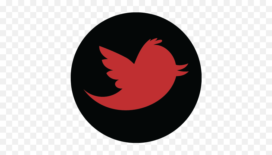 Download Twitter Icon - Twitter Social Media Png,Twitter Png Icon