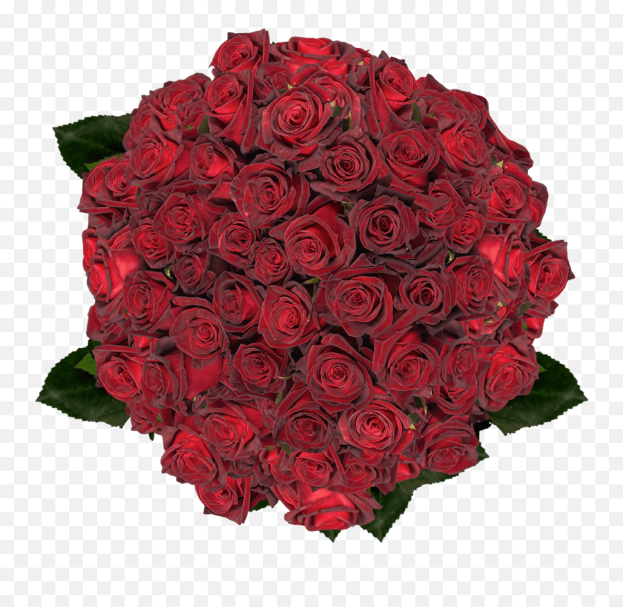 Best Black Roses - Day Png,Black Roses Png