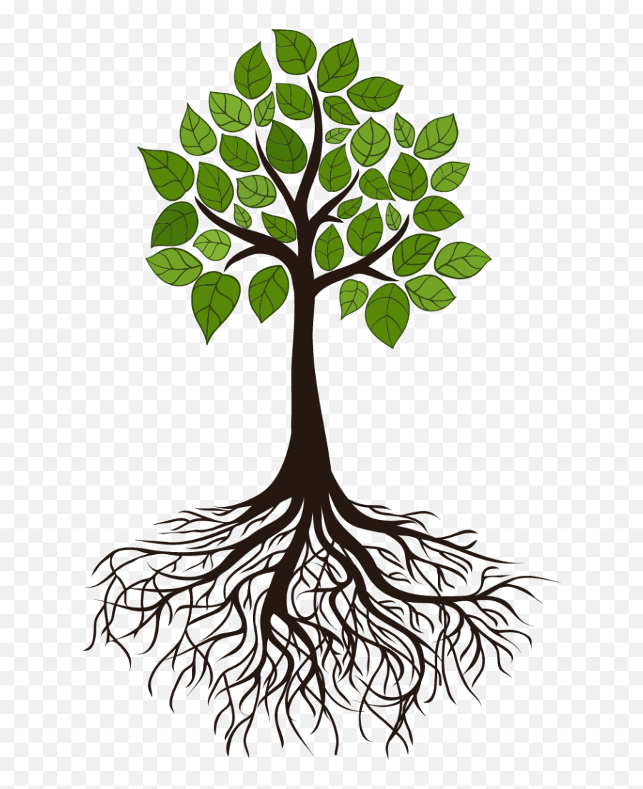 Tree Root Branch Clip Art - Tree Root Png,Tree Root Png