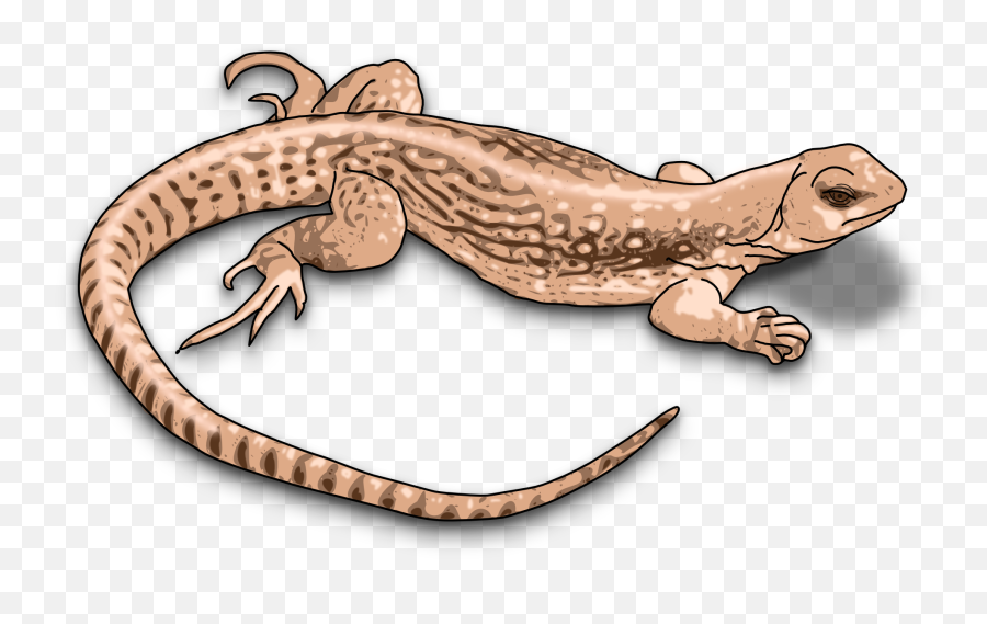 Svg Clip Art Png Lizard Transparent