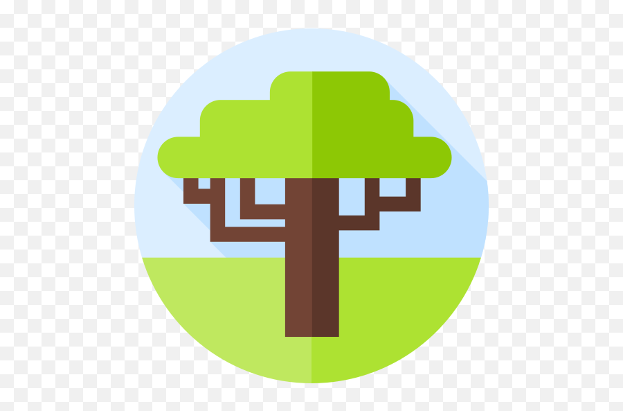 Acacia - Vertical Png,Acacia Tree Icon