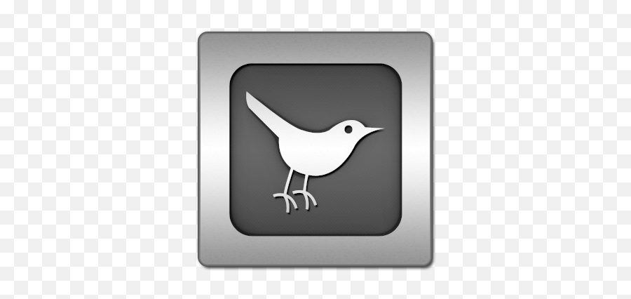 Iconsetc Twitter Bird3 Square Icon In Twitter Bird Icon Png Twitter Logo Black Png Free Transparent Png Images Pngaaa Com