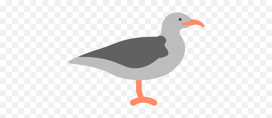 Seagull Icon - Great Gull Png,Seagull Icon