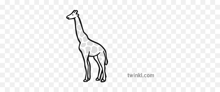 Giraffe Icon Black And White - Black And White Giraffe Icon Png,Giraffe Icon