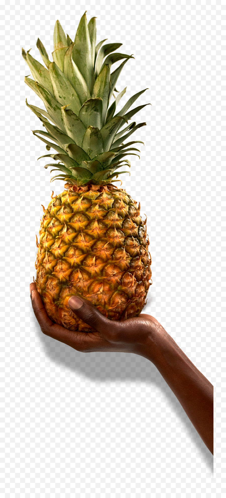 Dried Pineapple U2013 Party Jali Fruit Co - Superfood Png,Fruit Icon Pack