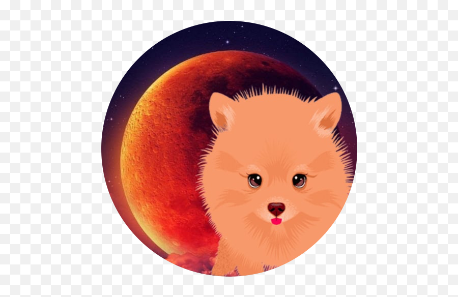 Pomer Nu Bep - 20 Token Upomerinu Full Moon Png,Pomeranian Icon