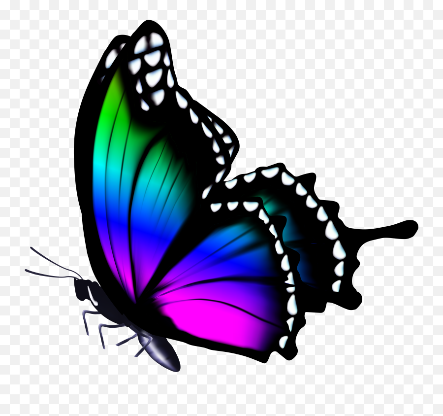 Butterfly Image Transparent U0026 Png Clipart Free Download - Ywd Png Images Full Hd,Blue Butterflies Png