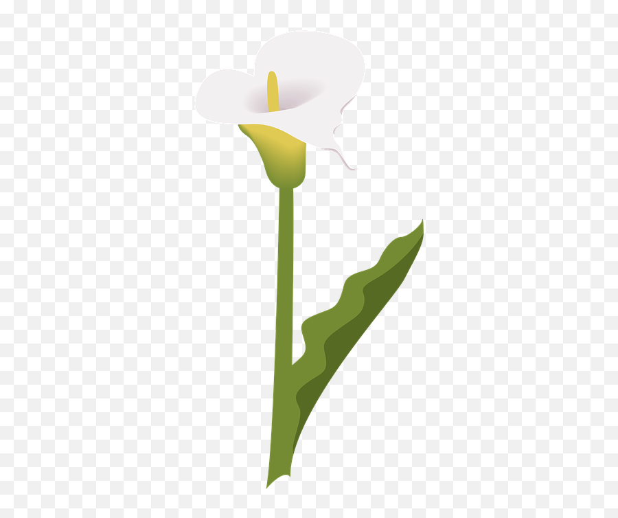 Flower Icon Symbol - Free Image On Pixabay Ohnsorg Theaters Gisela Wessel Png,Wildflower Icon
