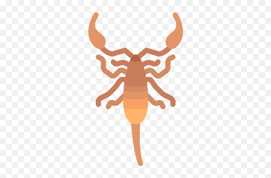 Scorpio Png Icon 17 - Png Repo Free Png Icons Scorpion Animal Icon,Scorpio Png