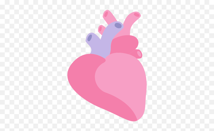 Heart Human Organ Transparent Png U0026 Svg Vector Icon