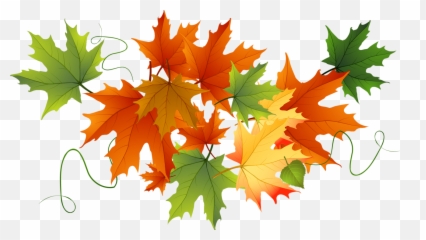 Library Of Fall Book Clip Art Royalty Free Png Files - Transparent Fall Leaf Clipart,Autumn Leaves Png