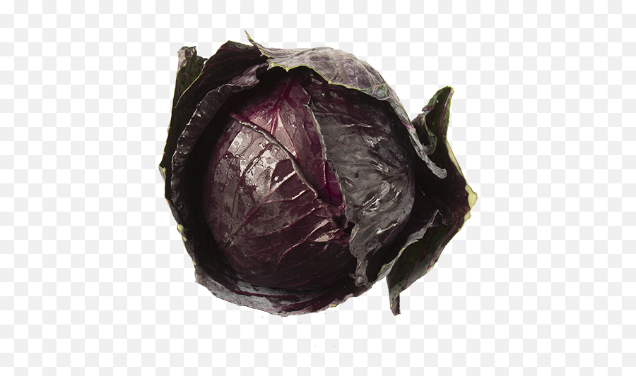 Produce Red Cabbage 1ea - Red Cabbage Png,Cabbage Transparent