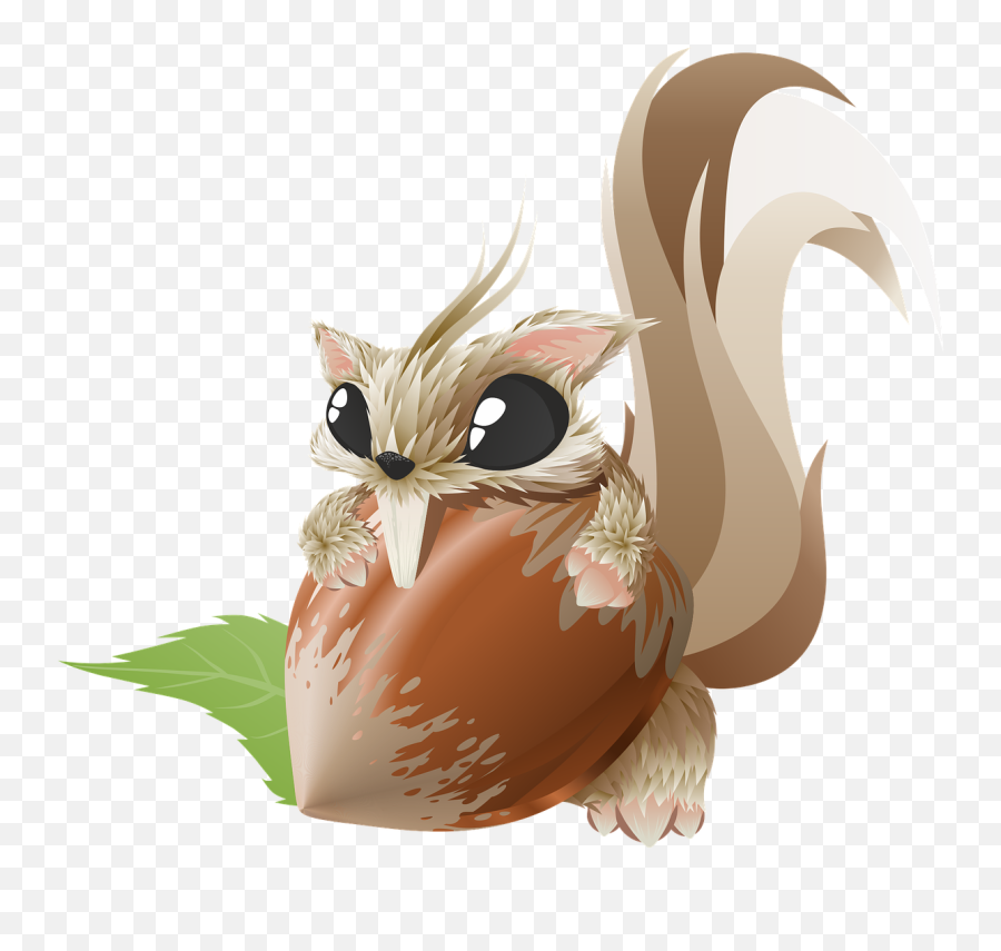 Squirrel Animal Hazelnut - Hazelnut Png Cute,Hazelnut Png