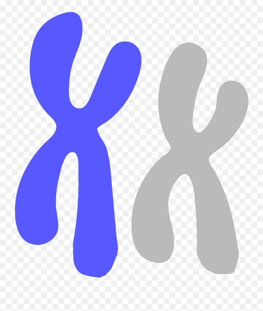 Innovative Genomics Institute - Transparent Background Chromosome Clip Art Png,Chromosome Png