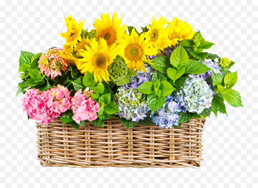 Sunflower Png Images Transparent Background - Basket Of Flowers Png,Sunflower Transparent Background