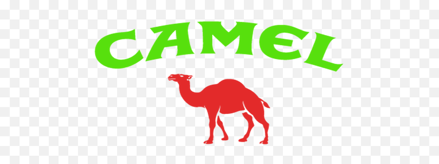 Help Us With Vinyls - Language Png,Camel Transparent Background