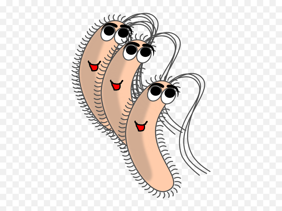 Funny Bacteria - Funny Bacteria Png,Bacteria Png