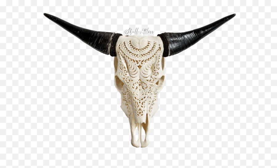 Cow Skulls U2013 Wall Charmers - Carved Cow Skull Lotus Png,Cow Skull Png