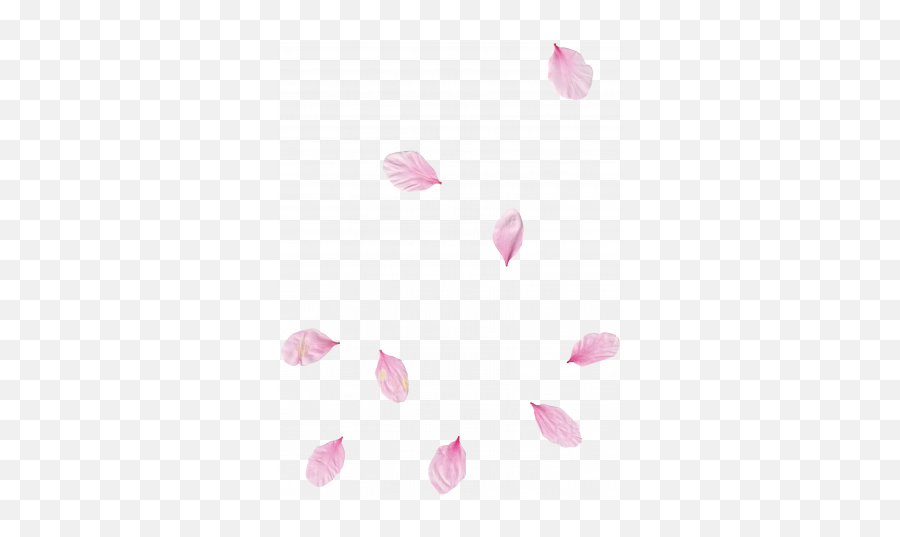 Pink Flower Scatter 02 Graphic By Gina Jones Pixel - Girly Png,Pink Rose Petals Png