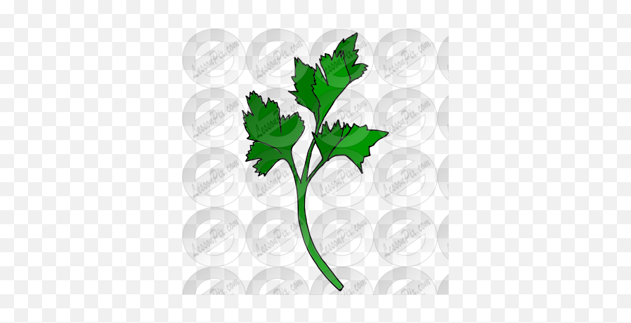 Parsley Picture For Classroom Therapy Use - Great Parsley Coriander Png,Parsley Png