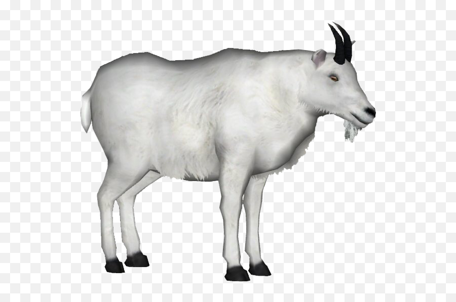 Animals Png Images Mart - Mountain Goat White Background,Goats Png