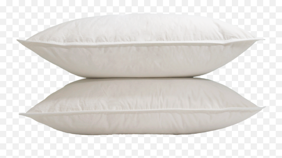 White Duck Down Pillow Twin Ducks - Cushion Png,Pillow Png