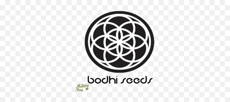 Bodhi Seeds U2013 Mindfulness Marijuana Midweek Song Us - Bodhi Seeds Logo Png,Massroots Icon