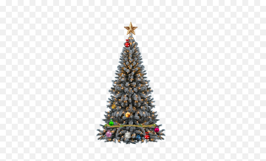 Download Christmas Tree Png Transparent - Justin Bieber Christmas Tree,Transparent Snow