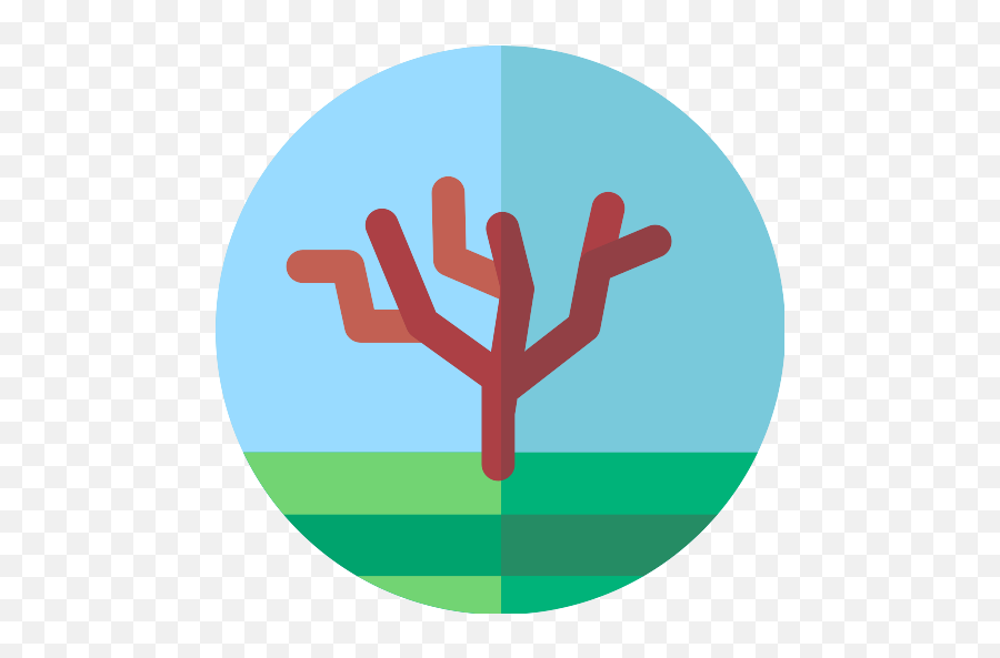 Olive Tree Png Icon - Emblem,Olive Tree Png