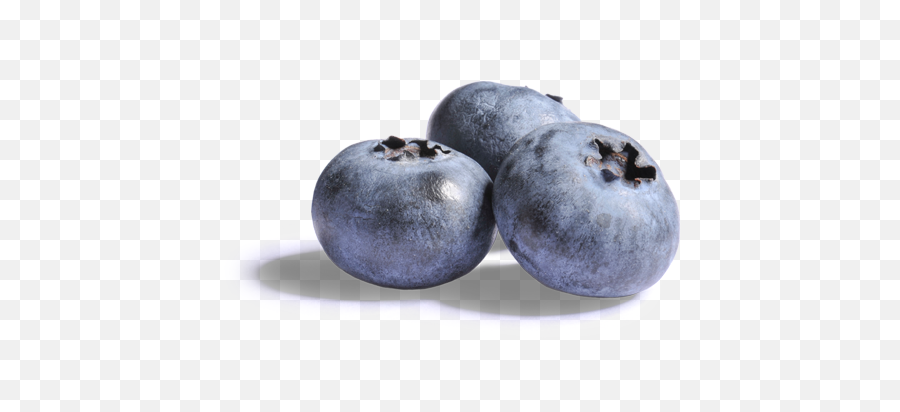 Download Blueberries Png Clipart - Blueberries With No Blueberry Berries Transparent Background,Blueberries Png