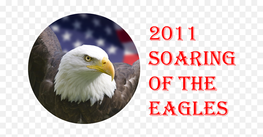 Eagles Management Conference - Bald Eagle Png,Soaring Eagle Png