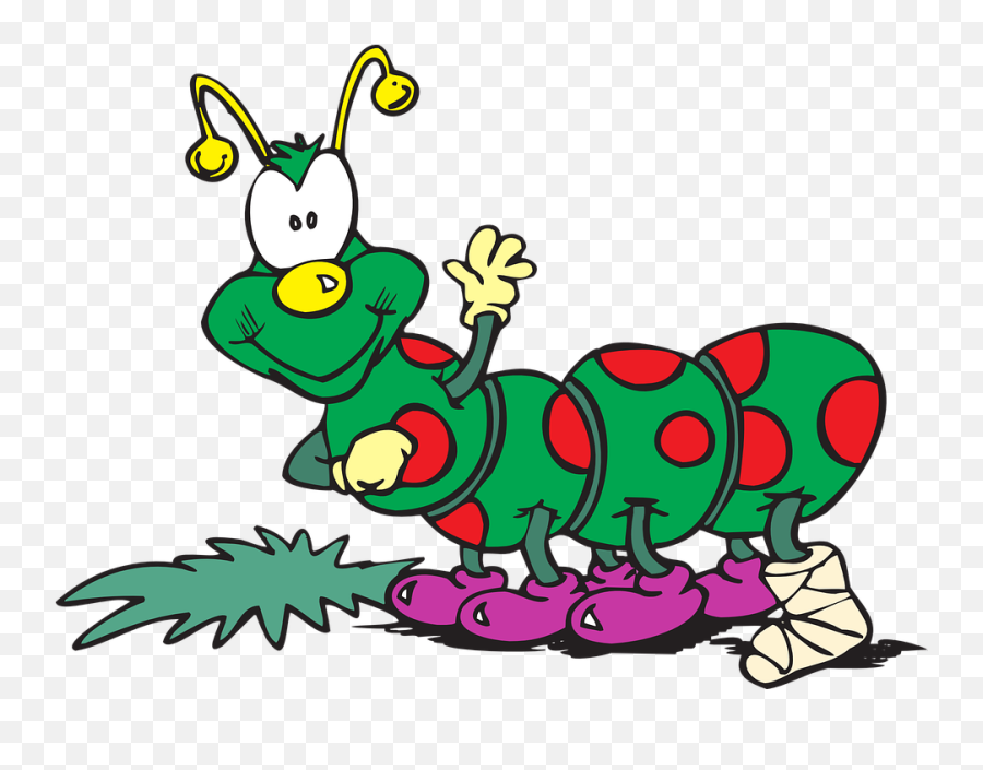 Caterpillar Grass Bug - Free Vector Graphic On Pixabay Patitas De Gusano Animados Png,Caterpillar Png