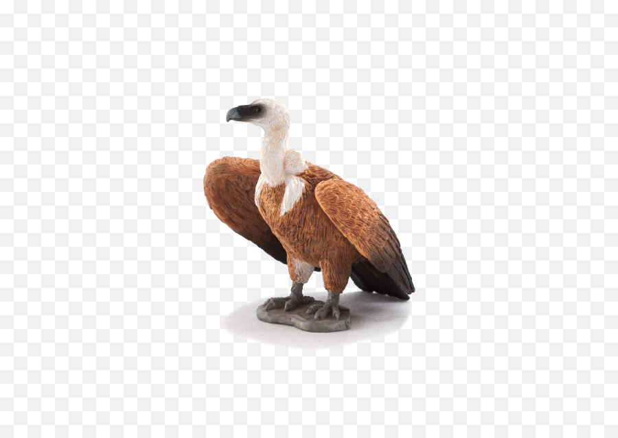 Download Animal Planet Griffon Vulture Png Image With No - Schleich Vulture,Vulture Png