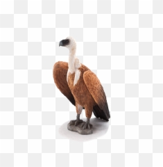Download Animal Planet Griffon Vulture Png Image With No - Schleich Vulture,Vulture Png