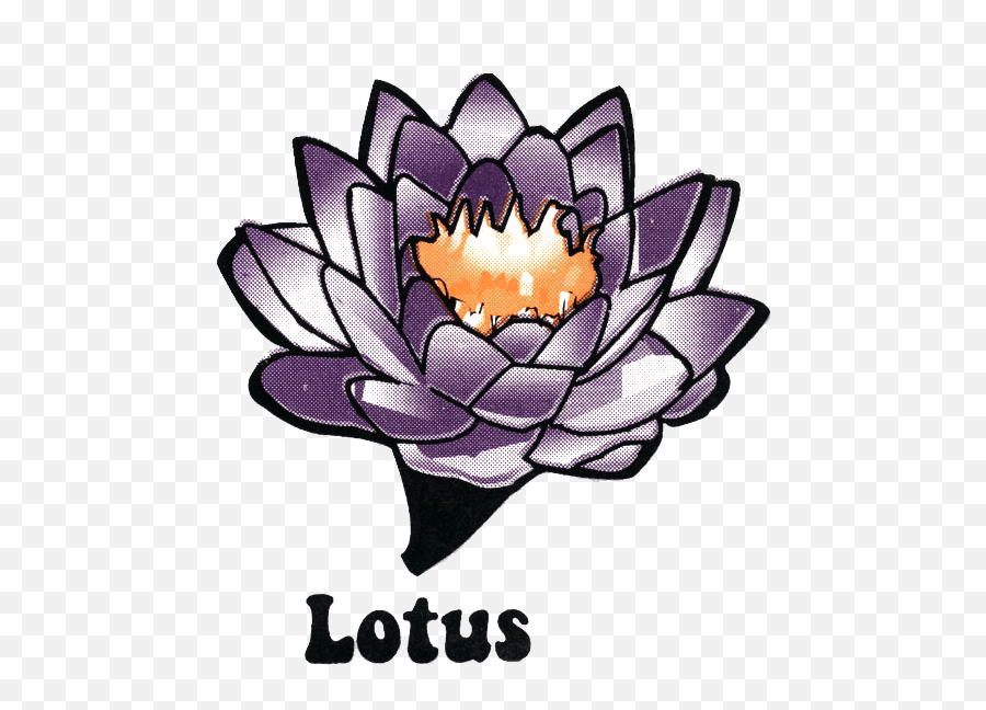 Lotus - Xanadu Surf Designs Crocus Png,Lotus Logo Png