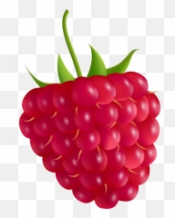 Library Of Svg Freeuse Raspberry Png - Raspberry Clipart Png,Raspberries Png