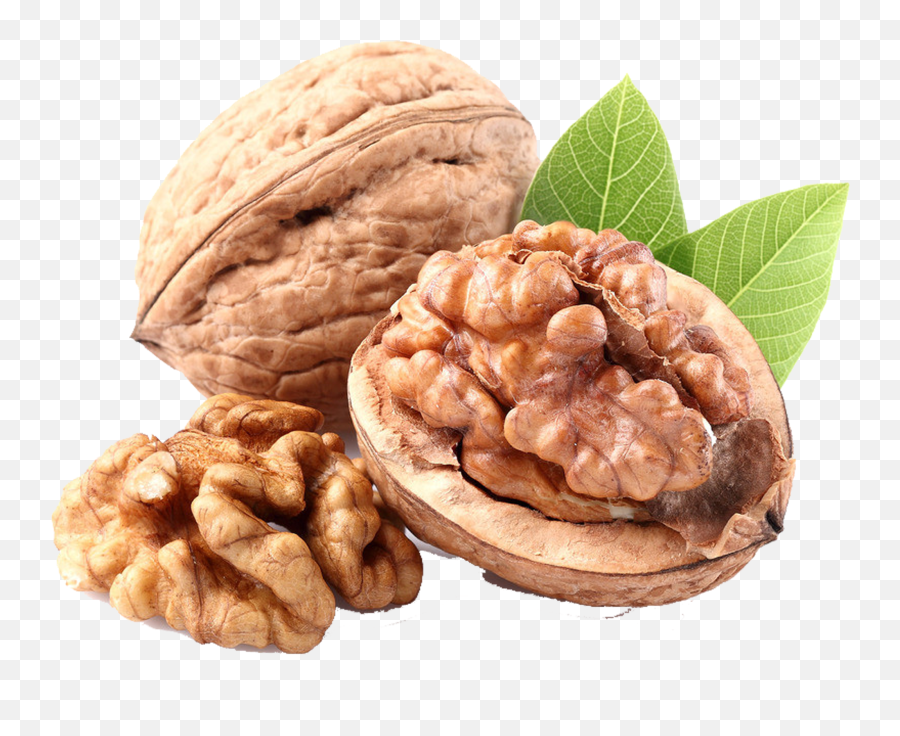 Nuts Drawing Pecan Nut Transparent U0026 Png Clipart Free - Acrod Fruit,Walnut Png