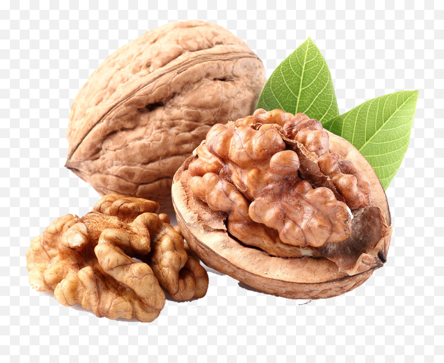 Nuts Drawing Pecan Nut Transparent U0026 Png Clipart Free - Acrod Fruit,Walnut Png Nuts Drawing Pecan Nut Transparent U0026 Png Clipart Free - Acrod Fruit,Walnut Png