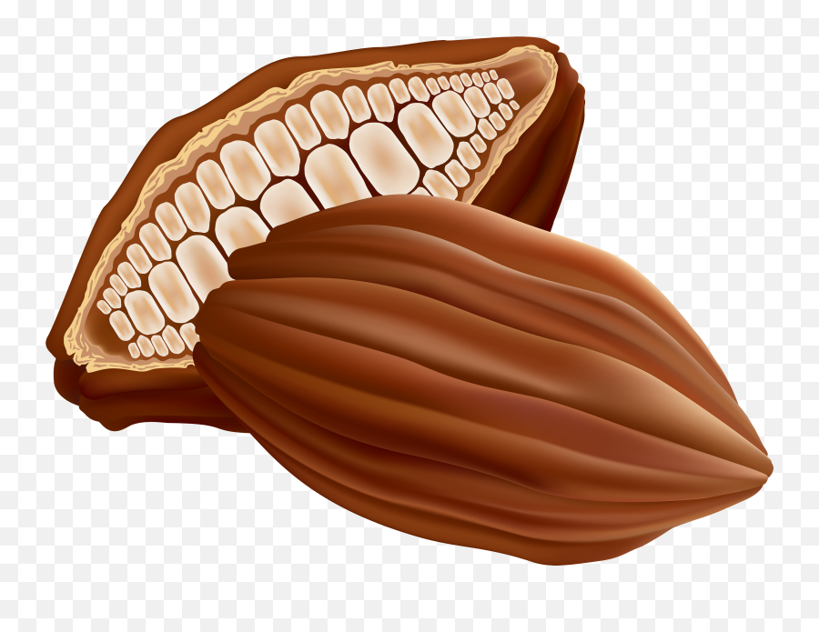 Chocolate Clipart Cocoa - Transparent Cocoa Beans Clipart Cocoa Bean Cartoon Png,Cacao Png
