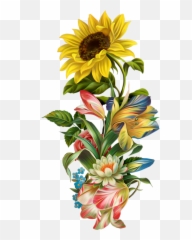 Victorian Flowers Bunt Sunflower Art Clipart - png