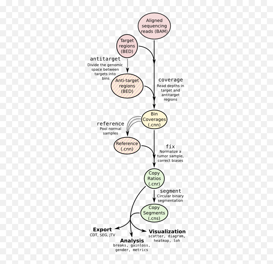 Copy Number Calling Pipeline U2014 Cnvkit 095 Documentation - Copy Number Alteration Pipeline Png,Target Transparent Background