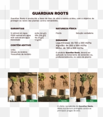 Guardian Roots Fertibean - Palm Tree png