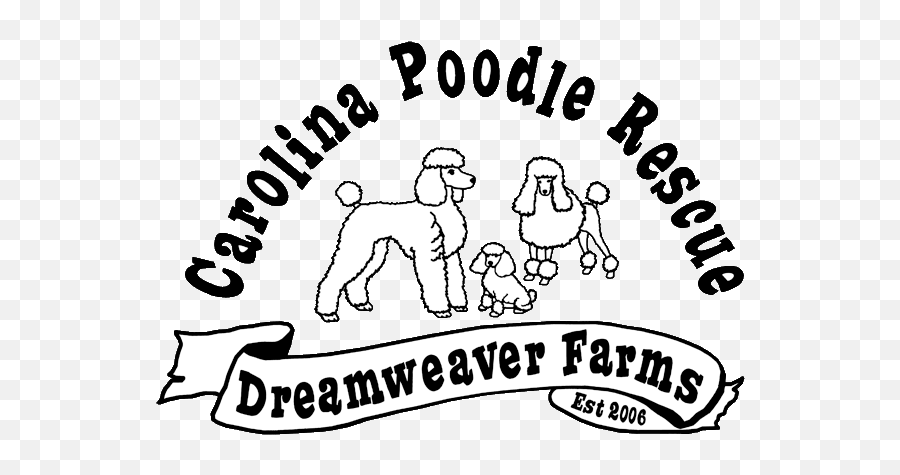 Logos - Carolina Poodle Rescue North Carolina Poodle Rescue Png,Luna Transparent Background