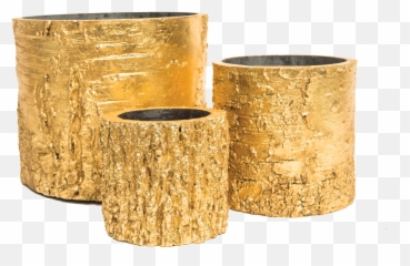 Download Hd Woodland Wonder Planters - Wonder Planters Bangle Png,Planters Png