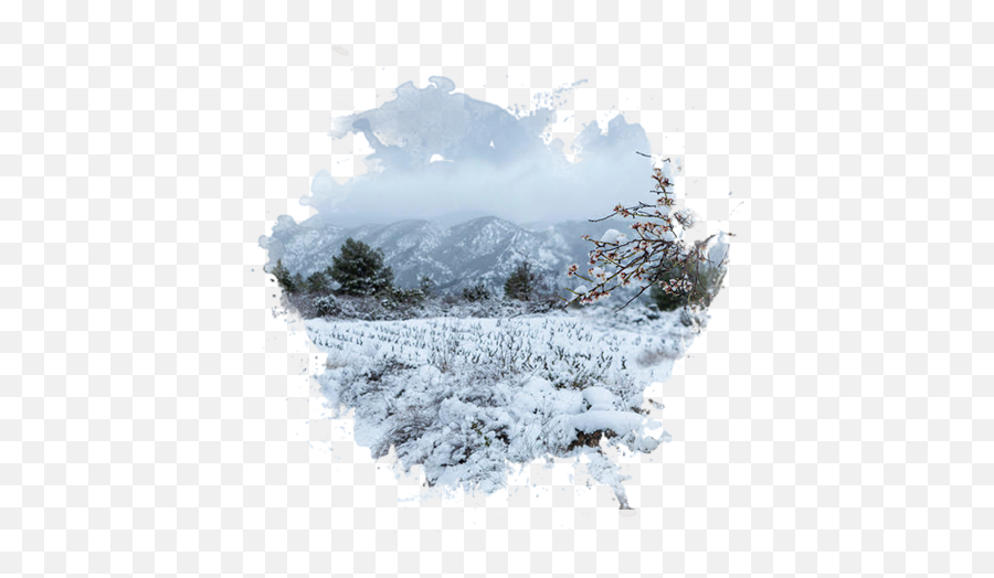 Nordelsud Vinsnus - Snow Png,Frost Border Png