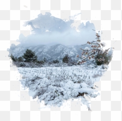 Nordelsud Vinsnus - Snow png