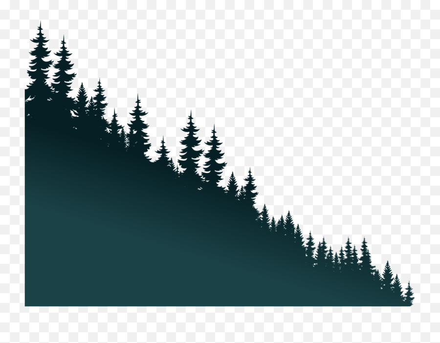 Forest Communications - Ottawa Graphic Design Video Web Vertical Png,Forest Silhouette Png