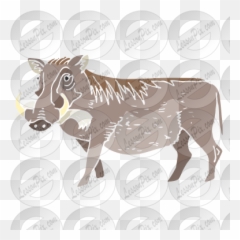 Warthog Stencil For Classroom Therapy Use - Great Warthog Common Warthog Png,Warthog Png